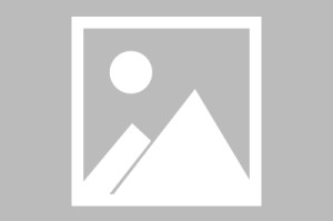 爱游戏客户端下载-重磅：加拿大队西甲的进球数据具